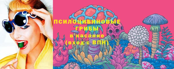 хмурый Алексеевка