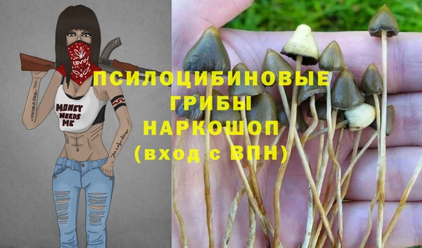 трава Алексин