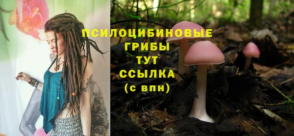 хмурый Алексеевка