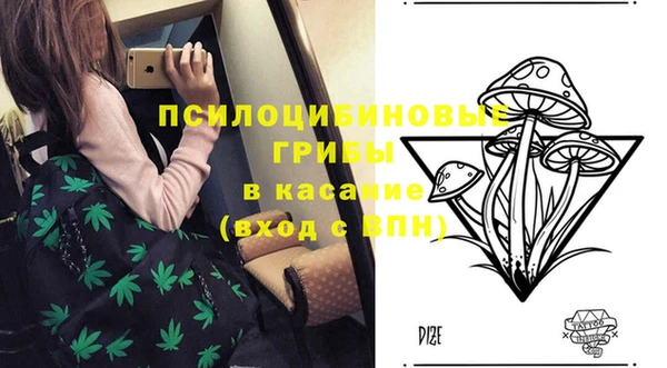 амф Алзамай