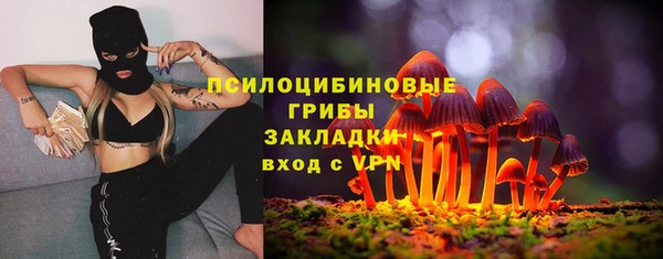 амф Алзамай